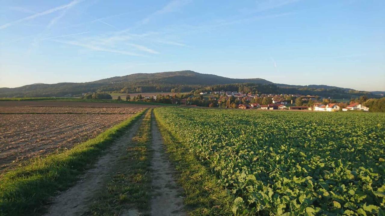 Ferienwohnung Kreuzer Lydia Furth im Wald Eksteriør bilde